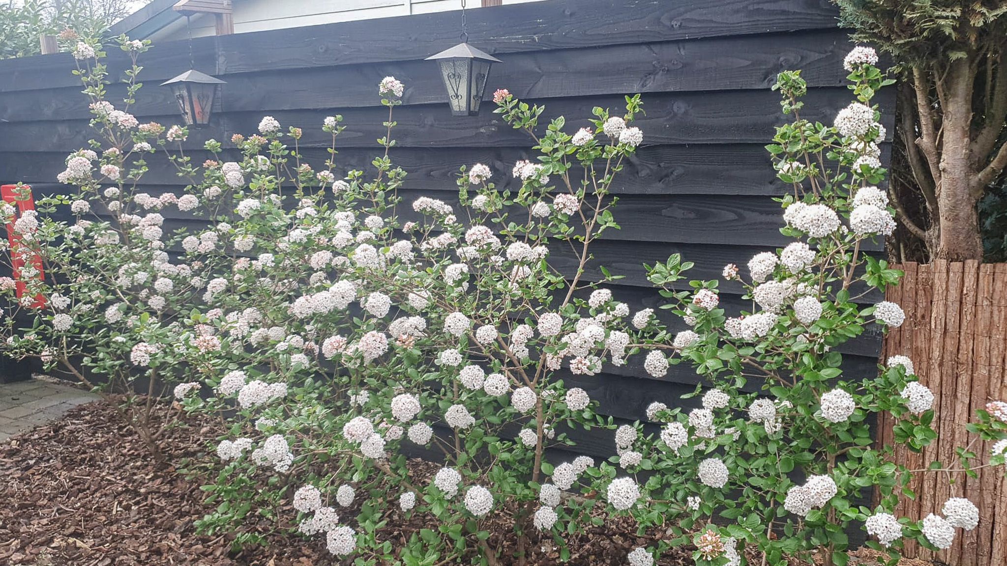 Foto 63 van Lange Zuiderweg 142-979