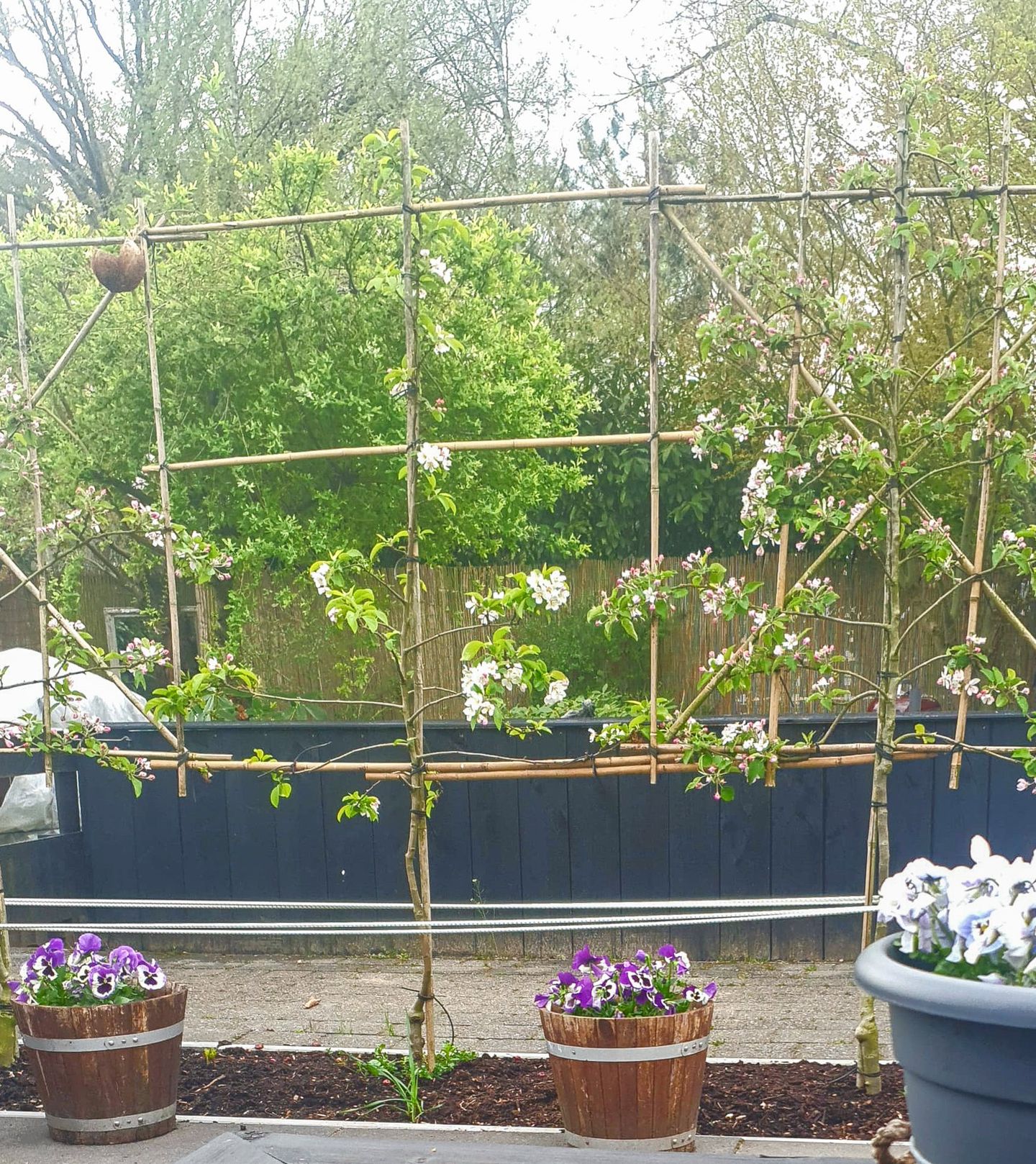 Foto 64 van Lange Zuiderweg 142-979