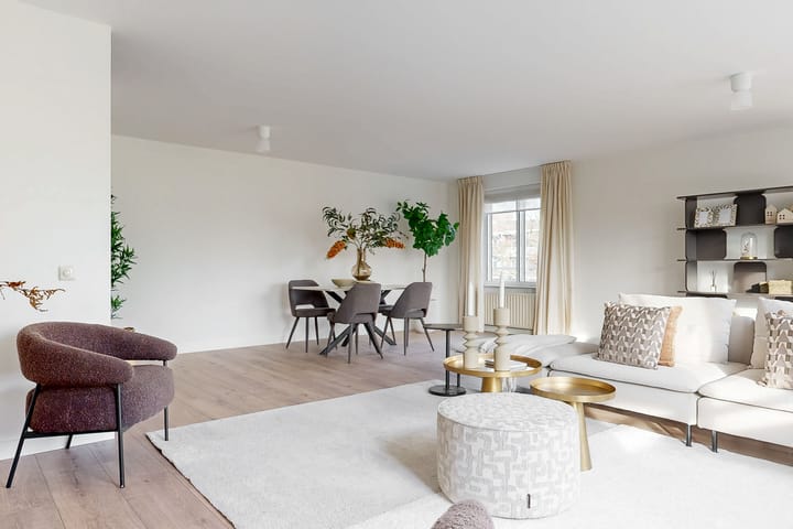 Photo 3 of Kanteel 42