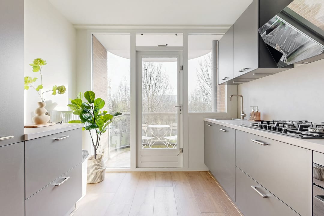 Photo 7 of Kanteel 42