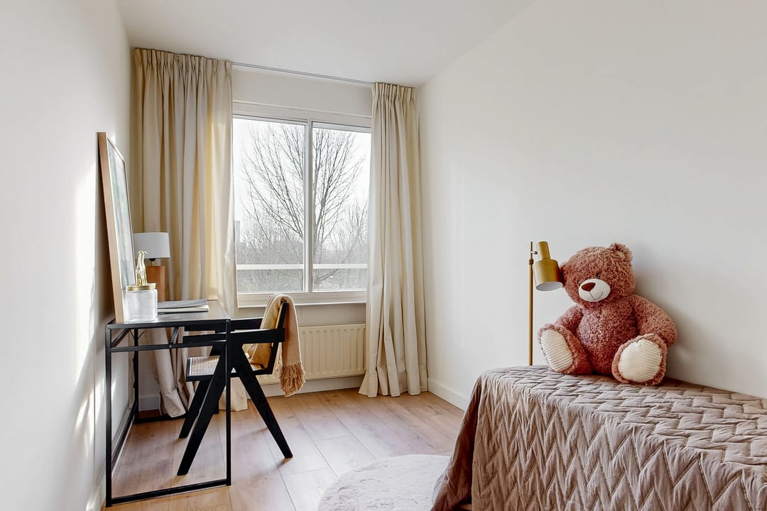 Photo 11 of Kanteel 42