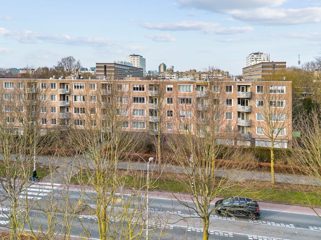 Photo 23 of Kanteel 42