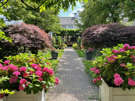 Melkweg 7 secondary image