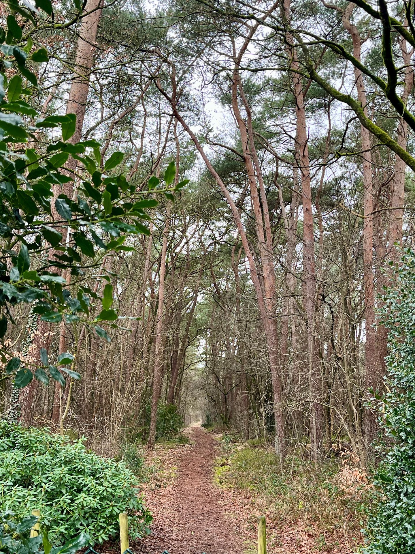 Photo 79 of Wolfhezerweg 120-22