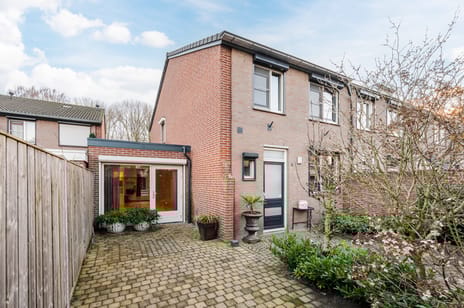 undefined main image