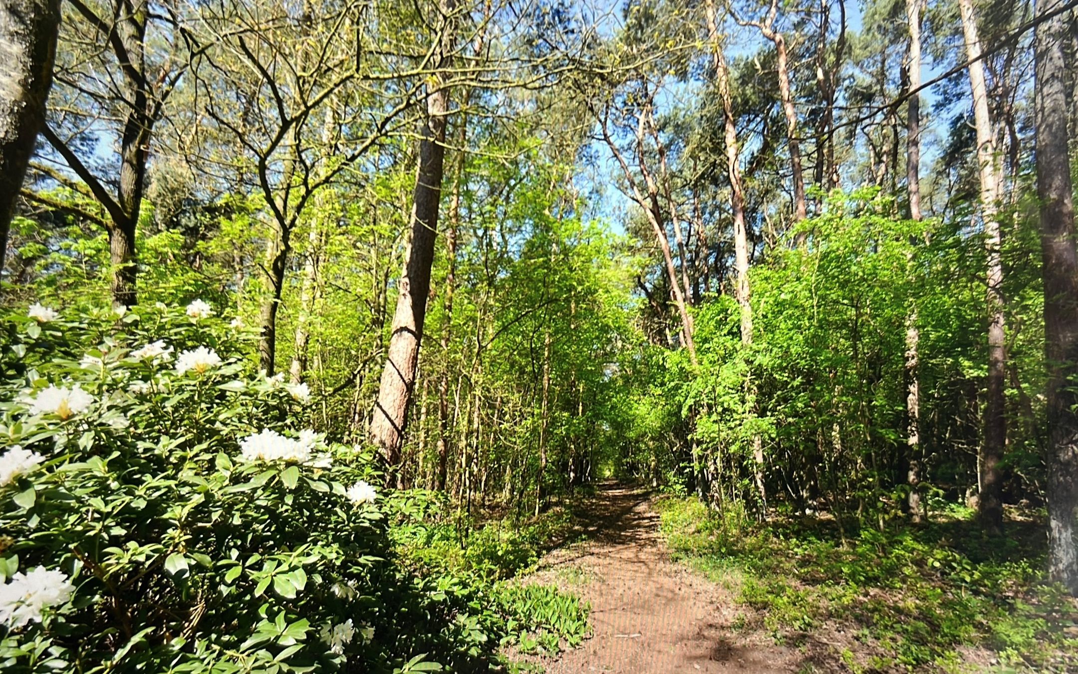 Photo 87 of Wolfhezerweg 120-22
