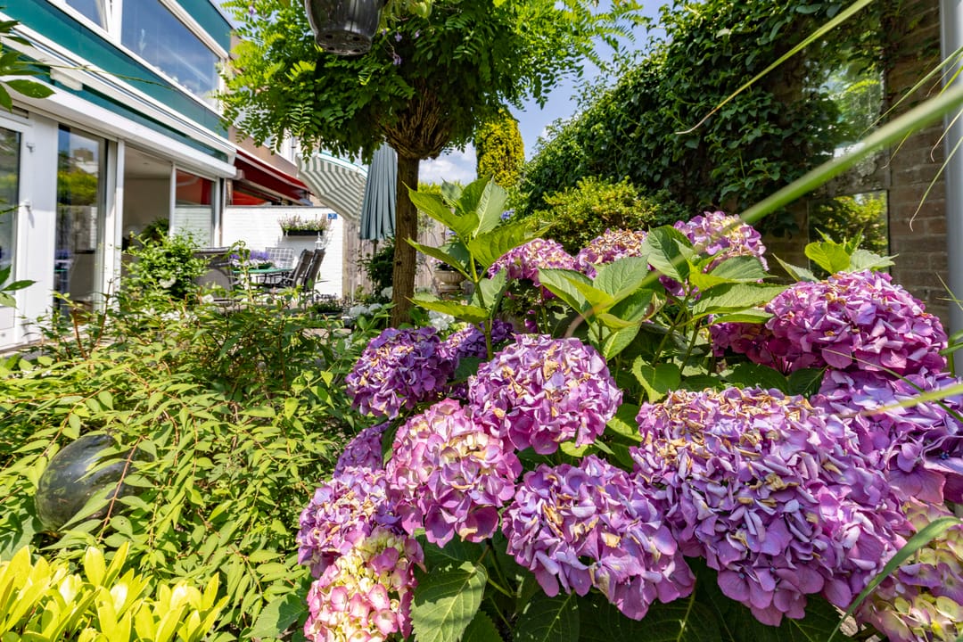 Foto 38 van Marie Koenenlaan 157