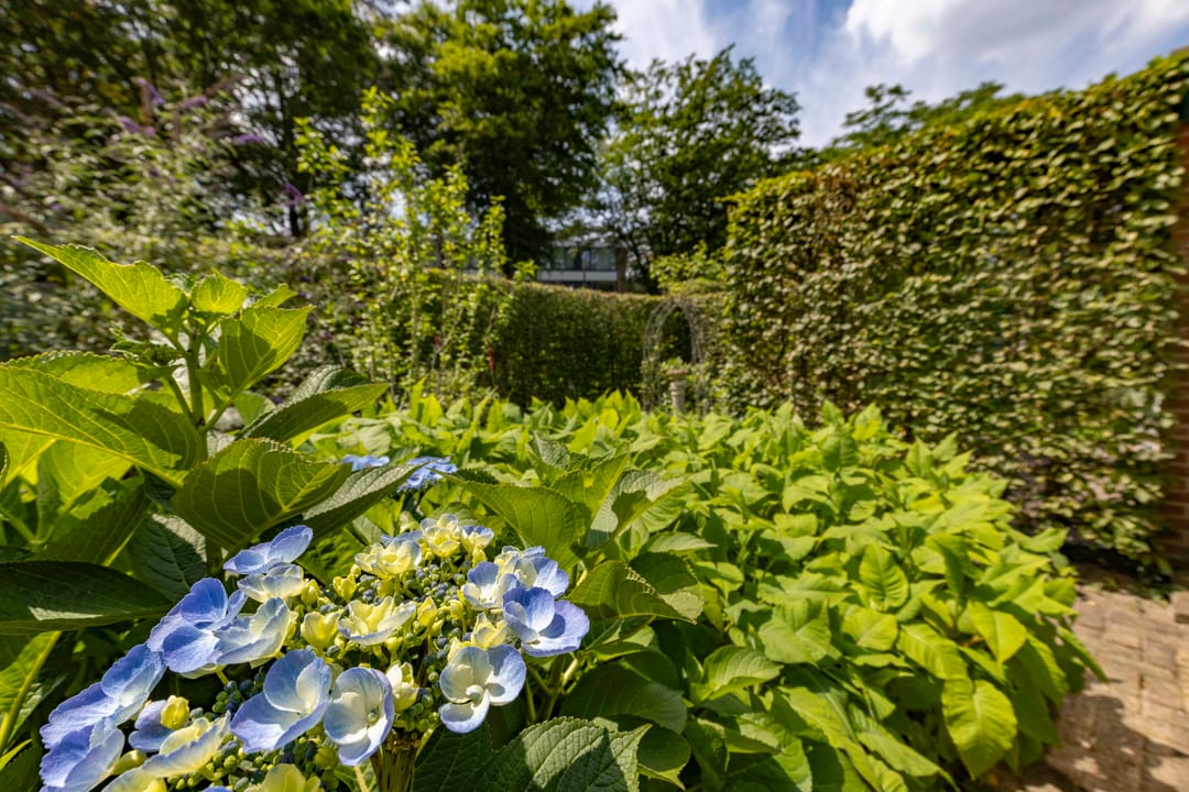 Foto 37 van Marie Koenenlaan 157