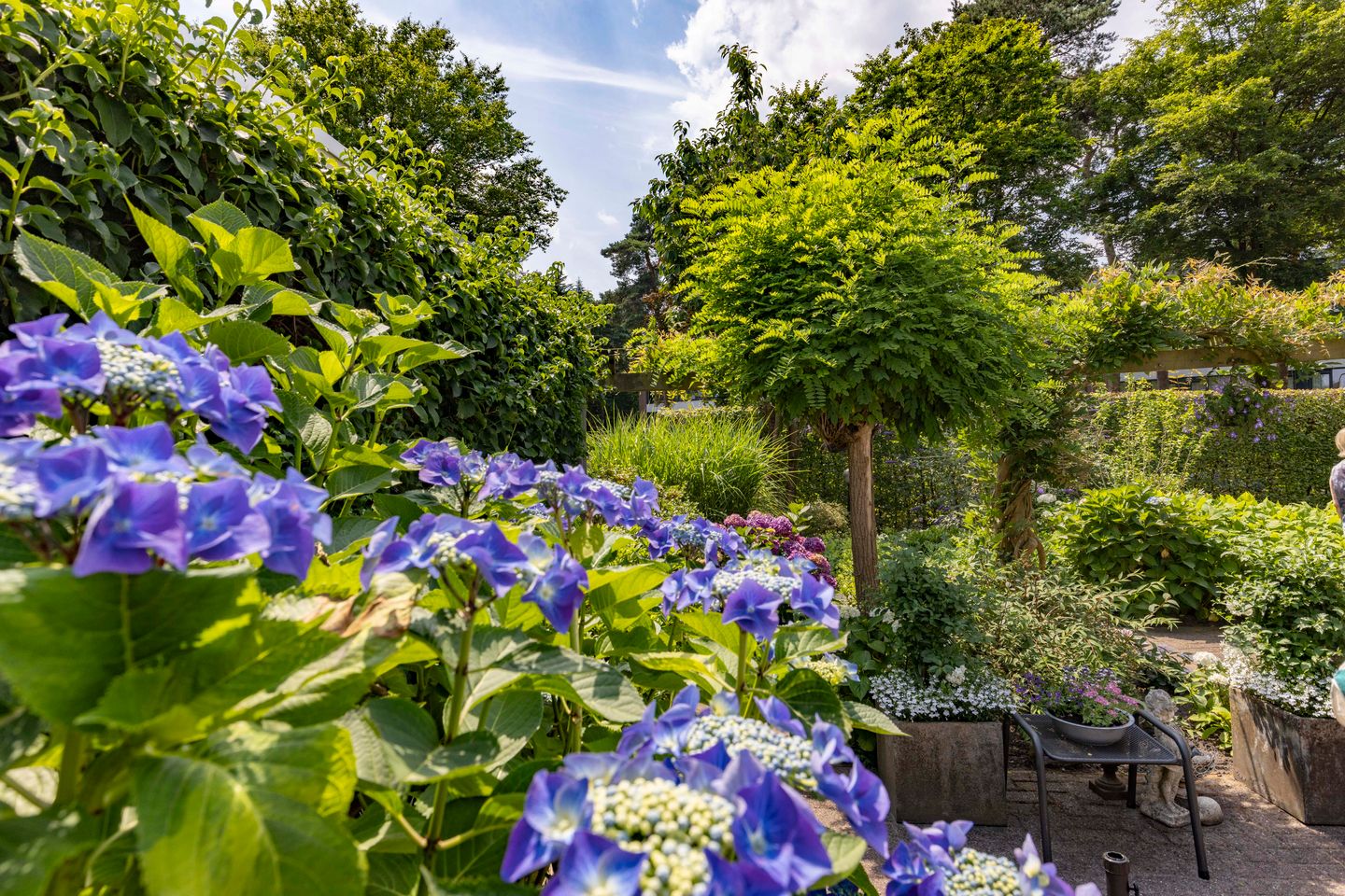 Foto 40 van Marie Koenenlaan 157