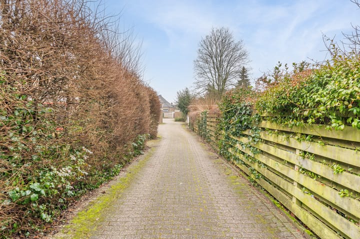 Foto 12 van Jeruzalem 501