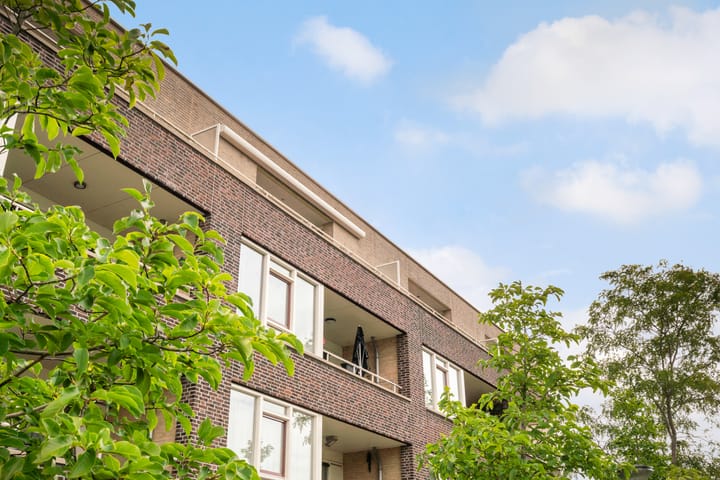 Foto 8 van Potgieterlaan 8-V