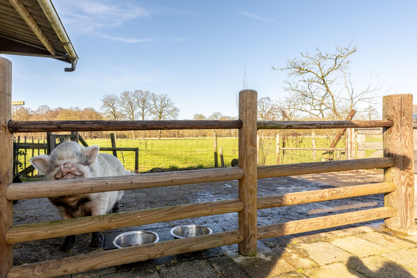 Foto 35 van Udenhoutseweg 25