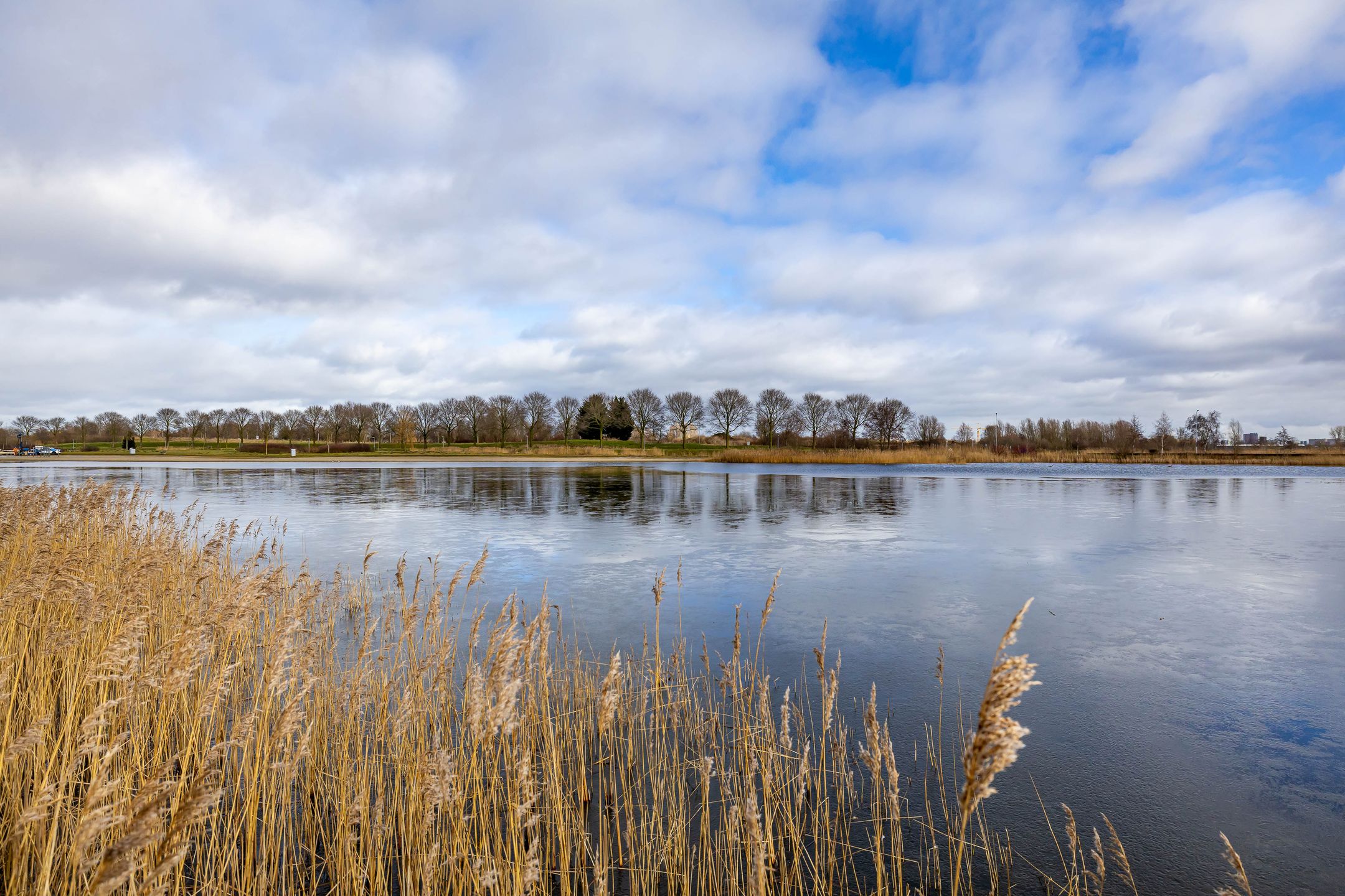 Foto 51 van Willem Valkstraat 15