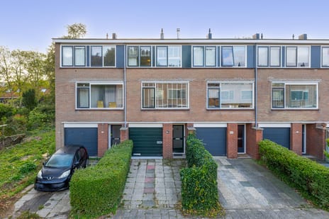 undefined main image