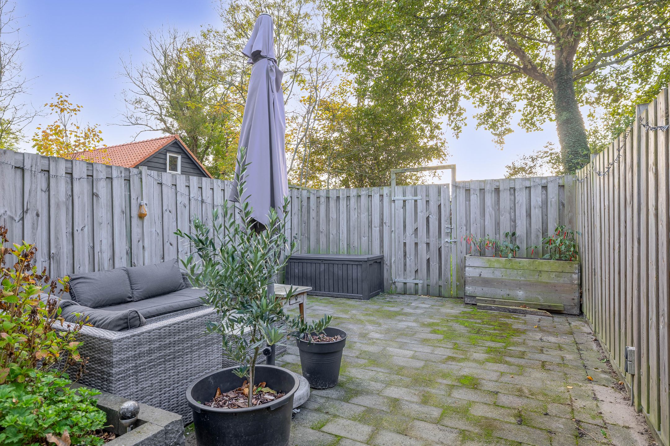 Photo 36 of Brigantijn 102