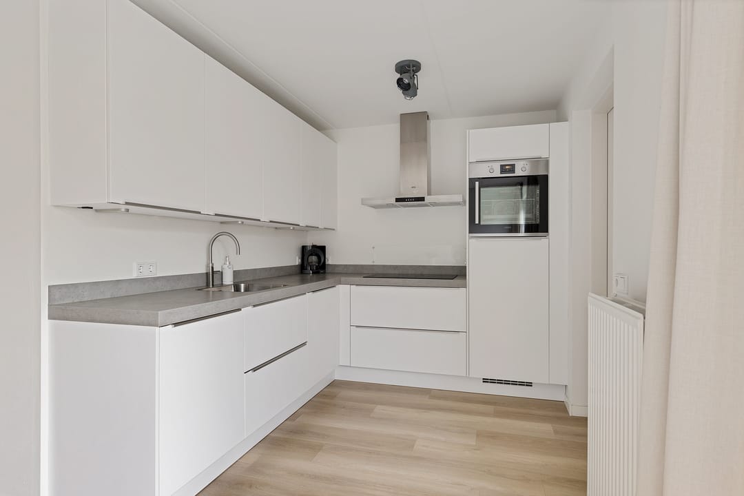 Photo 11 of Rieger 6