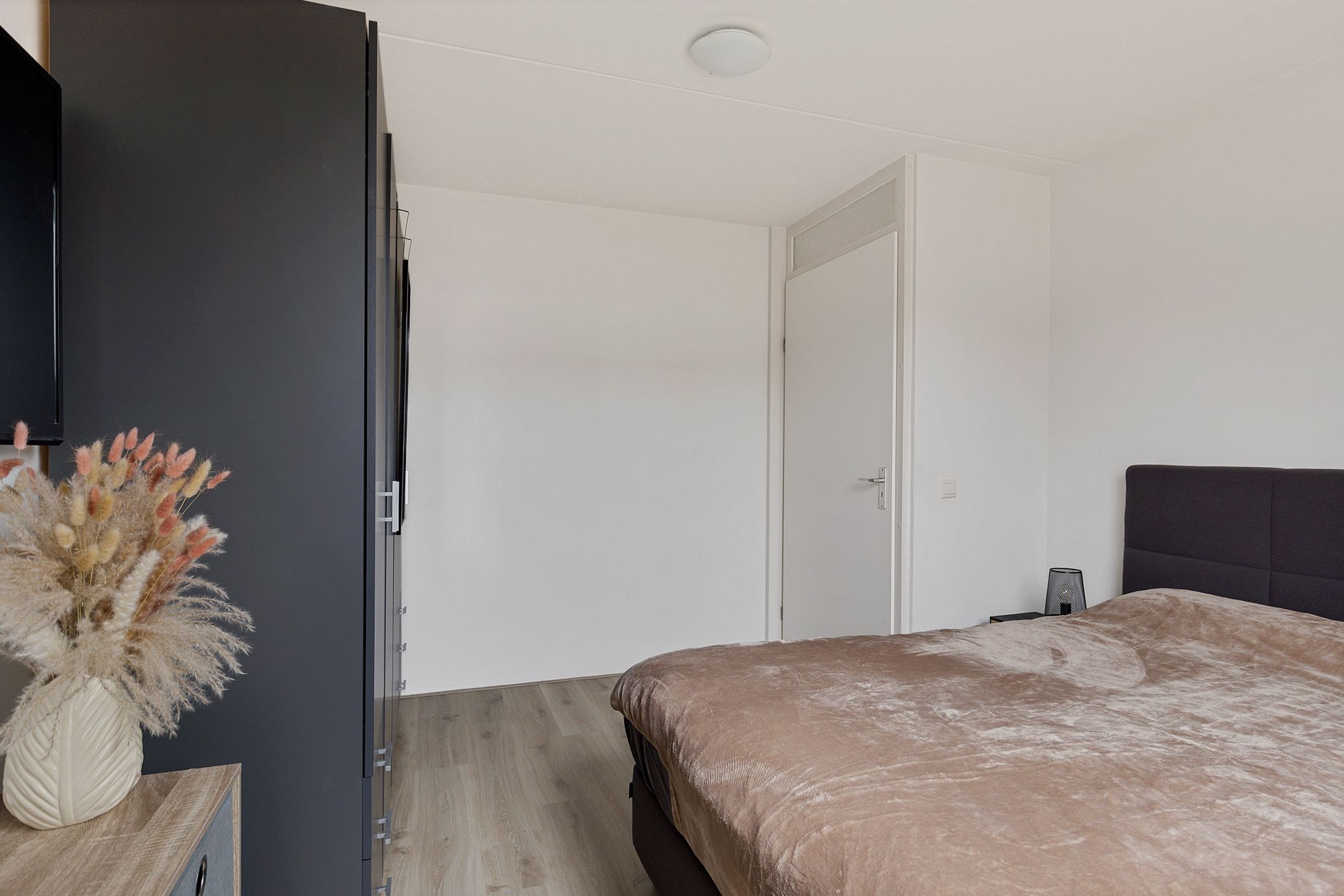 Photo 21 of Rieger 6