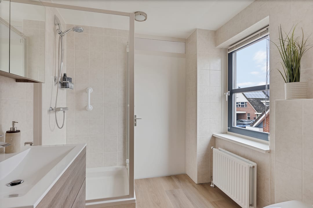 Photo 28 of Rieger 6