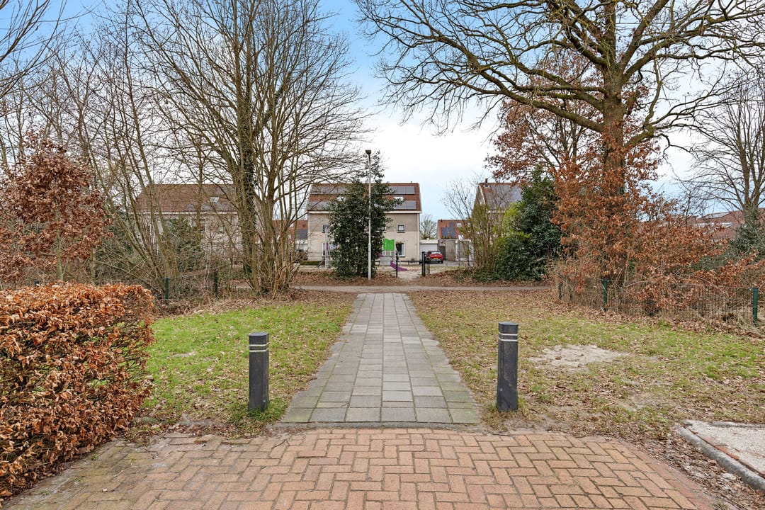 Photo 47 of Rieger 6