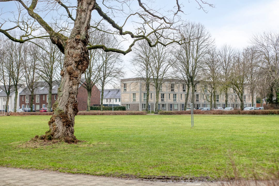 Foto 46 van de Greide 59