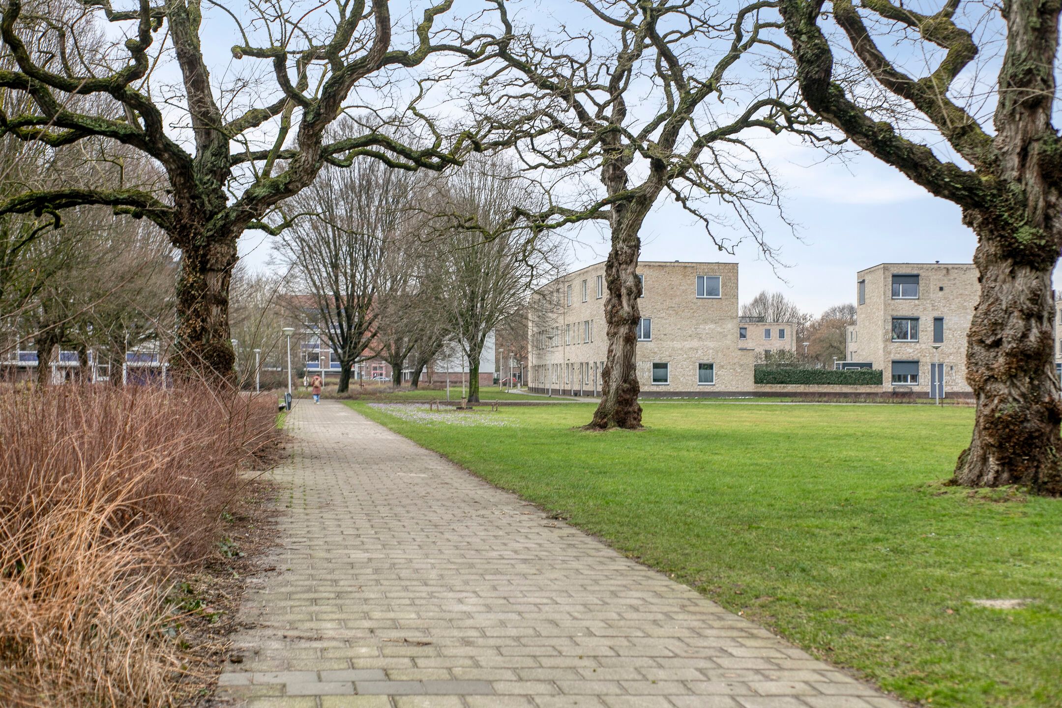 Foto 48 van de Greide 59