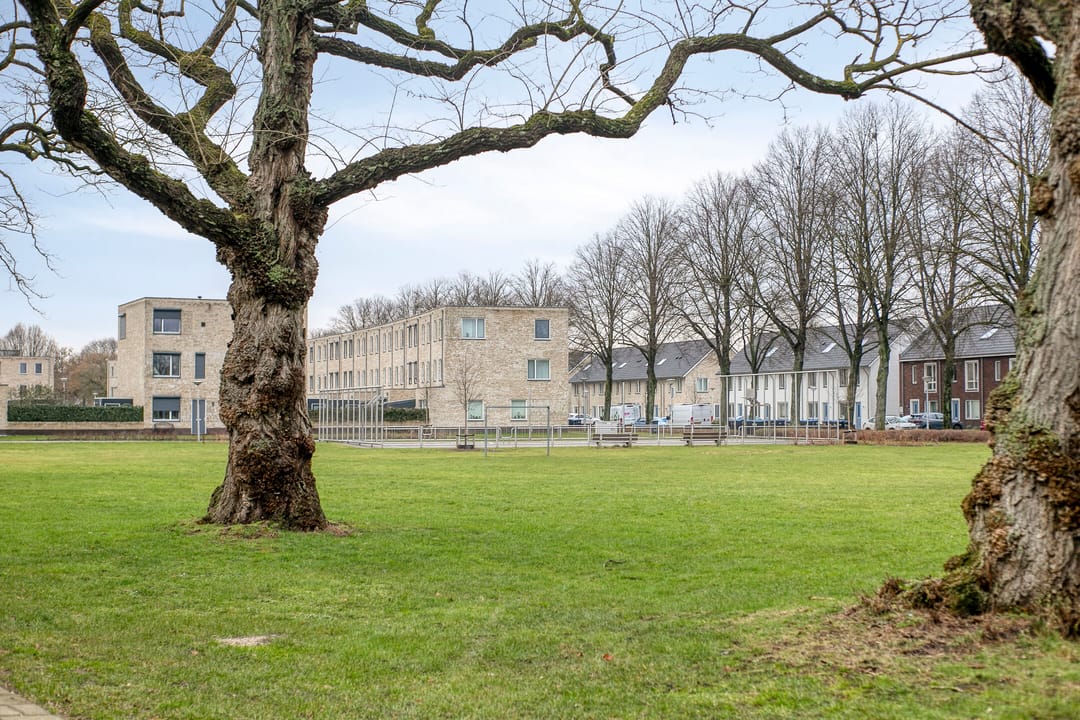 Foto 47 van de Greide 59