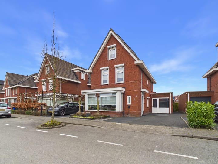 Kraanvogel 3 main image