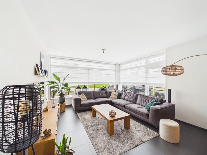 Foto 2 van Kraanvogel 3