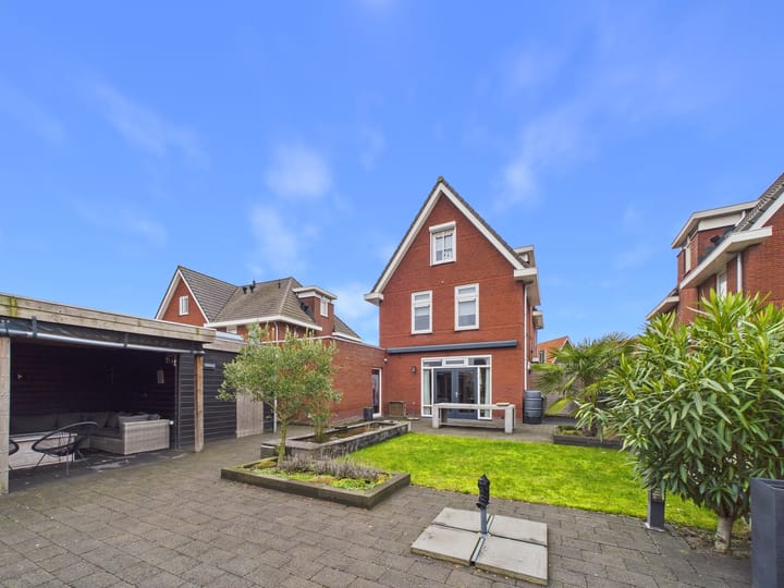 Foto 3 van Kraanvogel 3