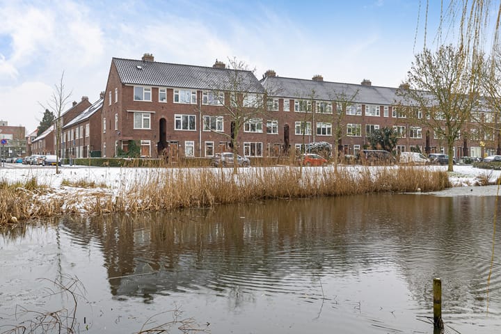 Adriaan van Ostadestraat 199