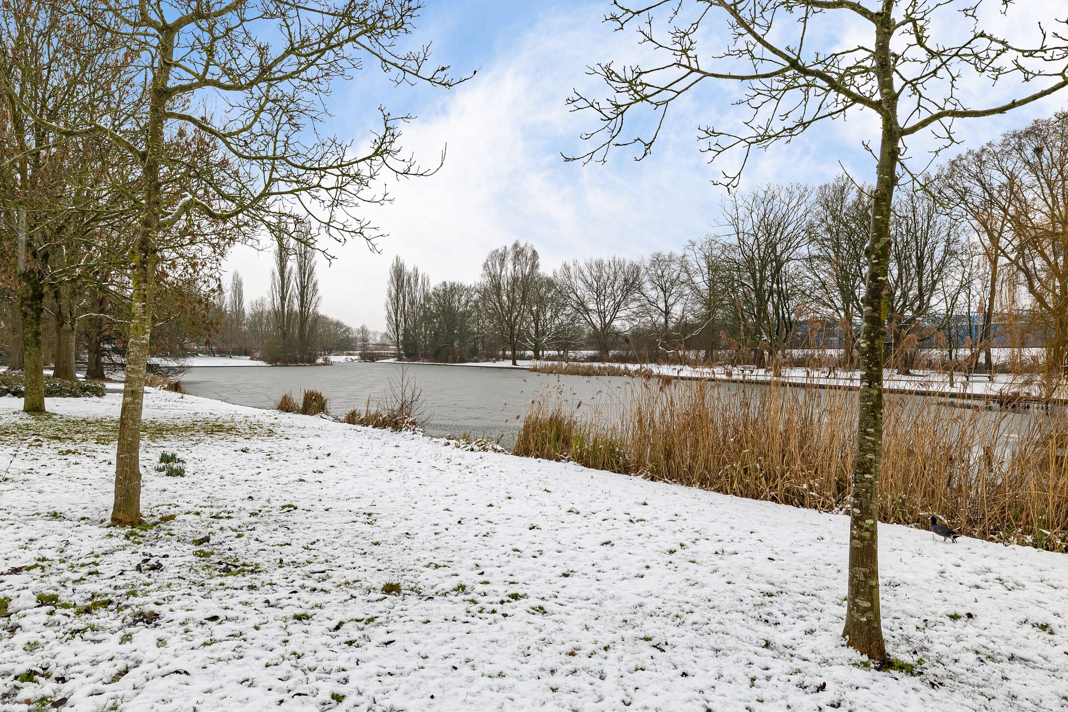 Foto 27 van Adriaan van Ostadestraat 199