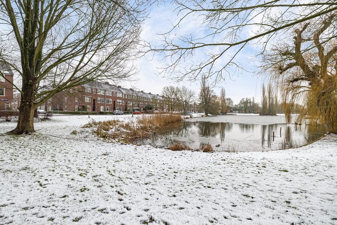 Foto 28 van Adriaan van Ostadestraat 199