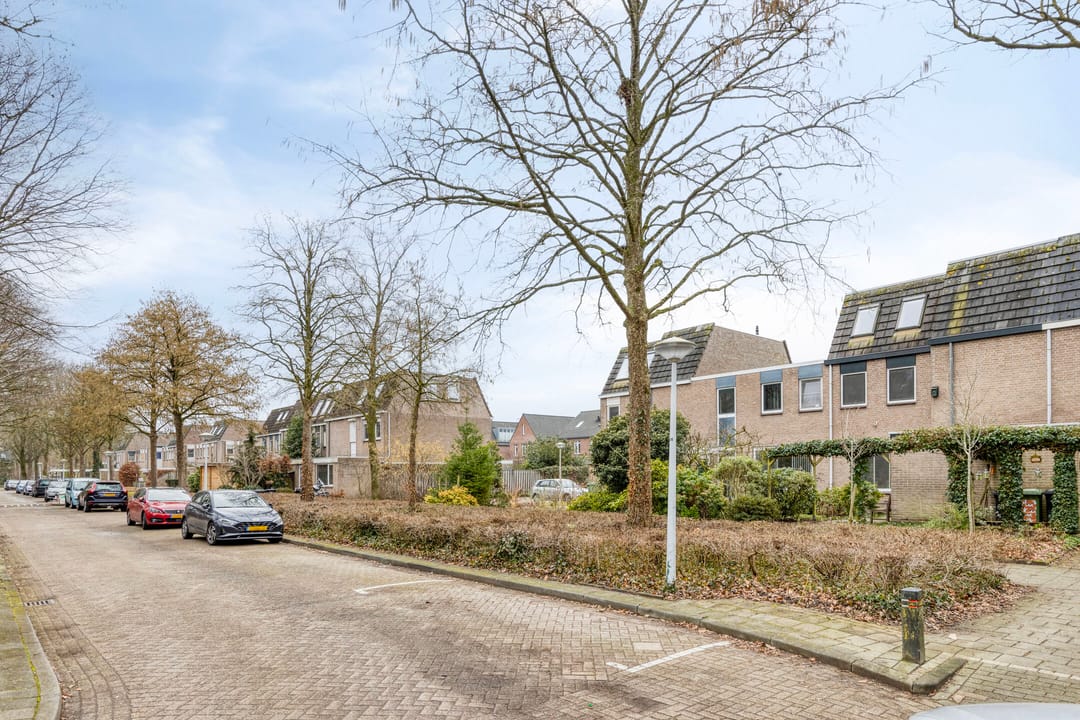 Photo 8 of Johan Frisopark 105