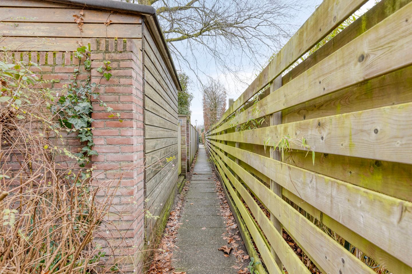 Photo 44 of Johan Frisopark 105