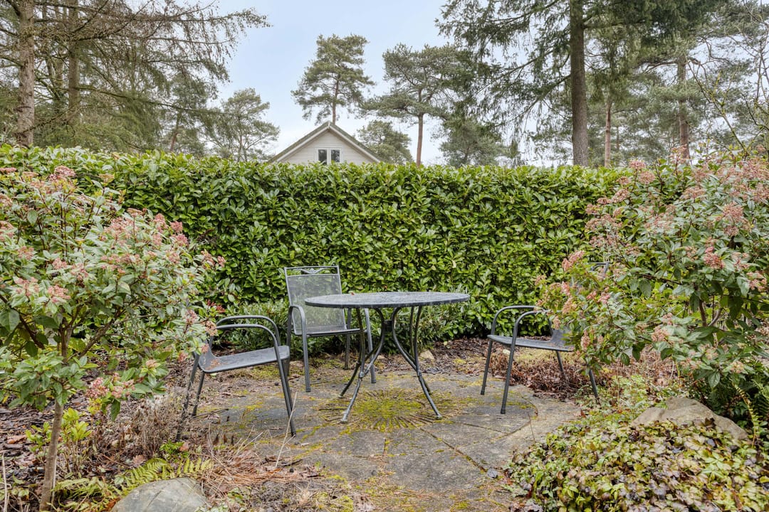 Foto 23 van Potdijk 8-E26