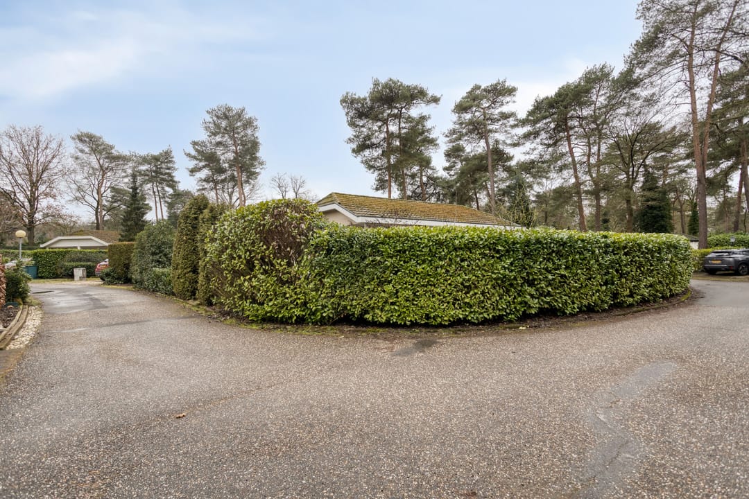 Foto 28 van Potdijk 8-E26