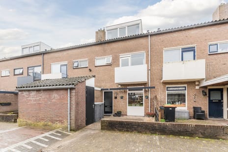 undefined main image