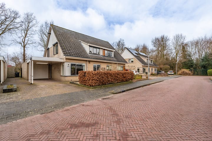 Foto 4 van Bovenkruier 6