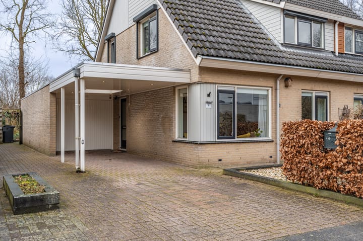 Foto 5 van Bovenkruier 6