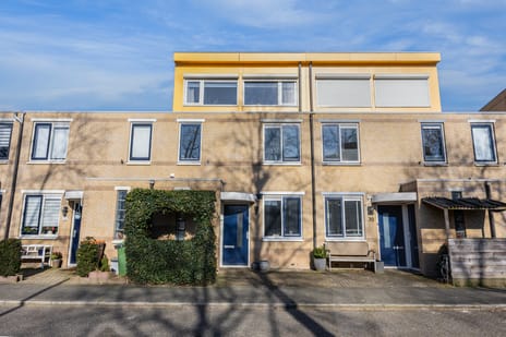 undefined main image