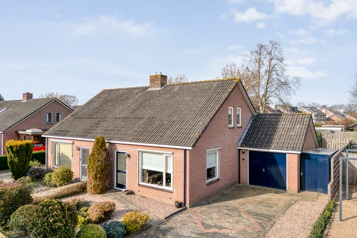 Gipskruid 6 main image