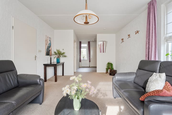 Foto 2 van Gipskruid 6