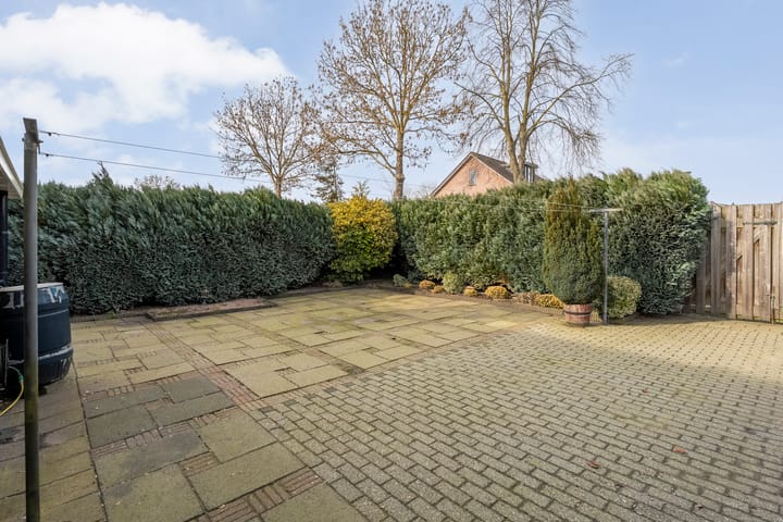 Foto 3 van Gipskruid 6