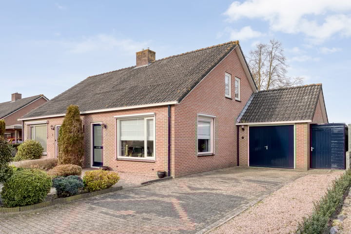 Foto 4 van Gipskruid 6