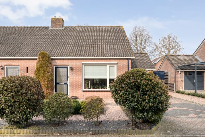 Foto 5 van Gipskruid 6