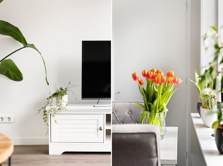 Photo 14 of Vlissingse Molenstraat 23