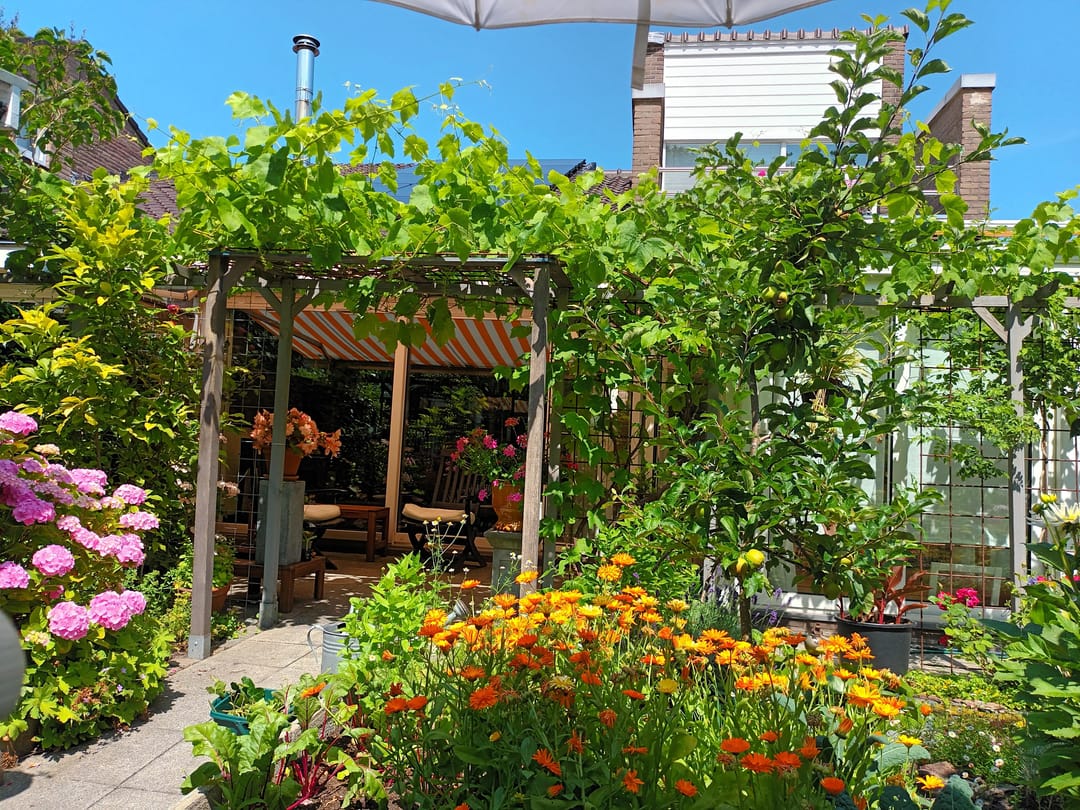 Foto 11 van Boedapeststraat 36