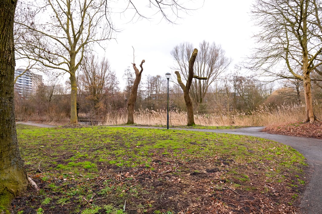 Foto 32 van Boedapeststraat 36