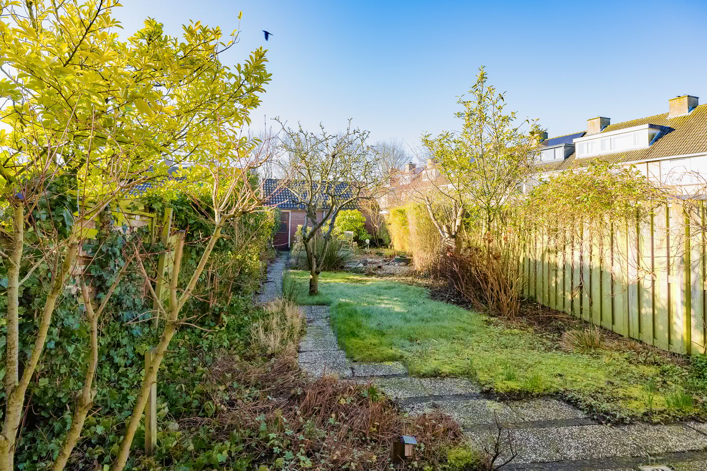 Photo 40 of Paulus Potterstraat 35