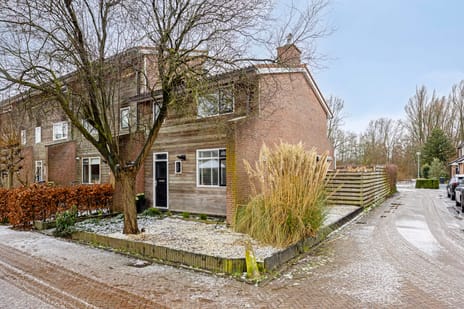 undefined main image